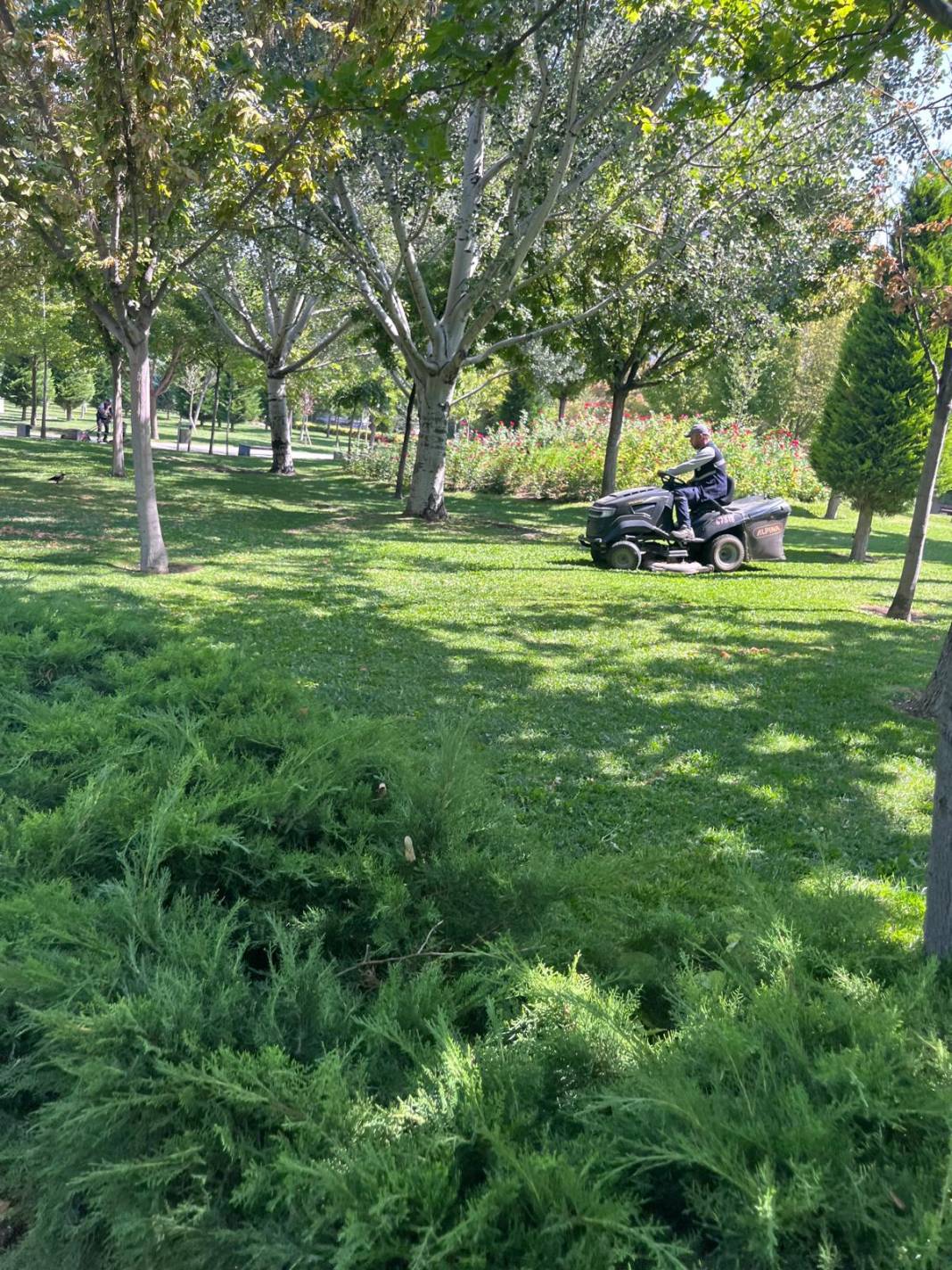 Konya’nın serinleten cenneti: Kanyon Park 16